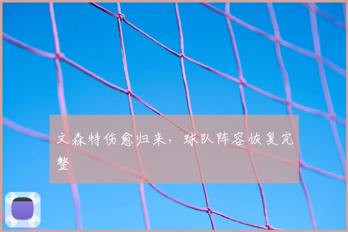 文森特伤愈归来，球队阵容恢复完整